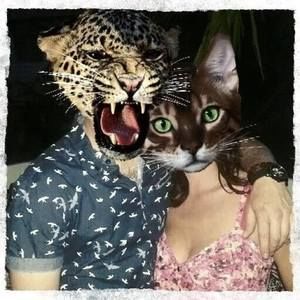 Meet your Posher, Jesse